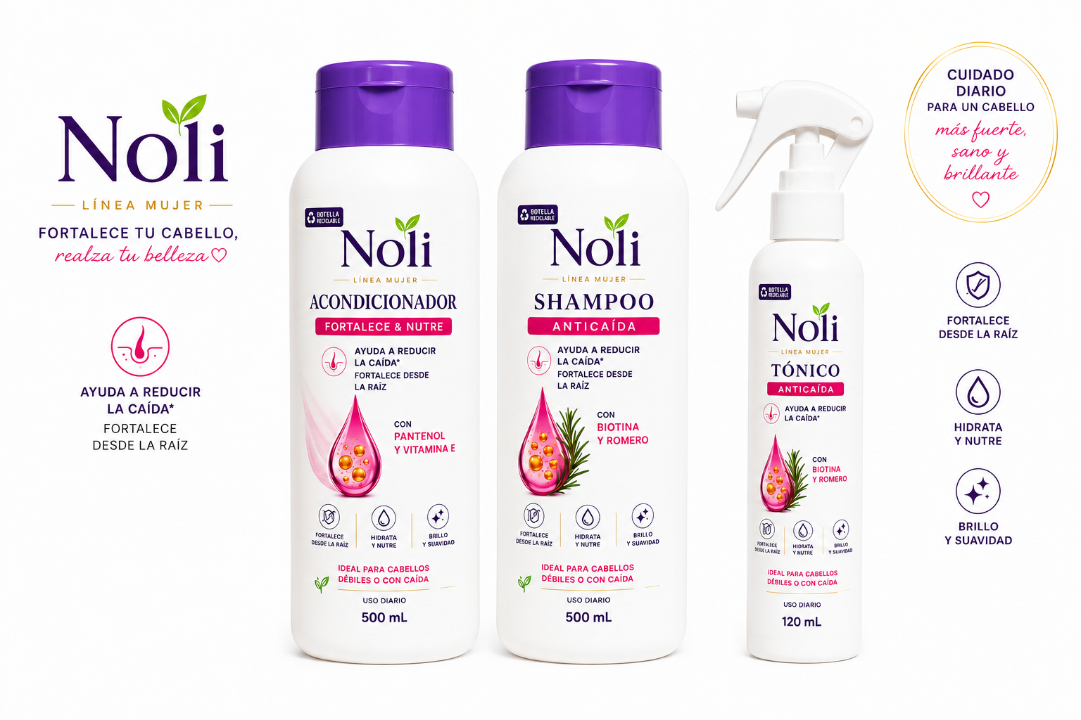 Kit anticaída noli